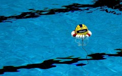 Desktop wallpaper. Water Sports. ID:19965