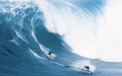 Desktop wallpaper. Water Sports. ID:19972