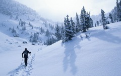 Desktop wallpaper. Winter Sports. ID:20034