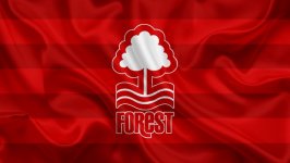 Desktop wallpaper. Nottingham Forest F.C.