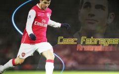 Desktop wallpaper. Football. ID:20748