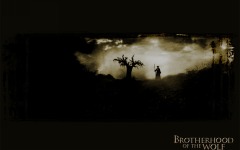 Desktop wallpaper. Brotherhood of the Wolf. ID:3757