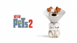 Desktop wallpaper. Secret Life of Pets 2, The. ID:108434