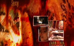 Desktop wallpaper. Cabin Fever. ID:3763