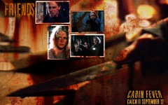Desktop wallpaper. Cabin Fever. ID:3764