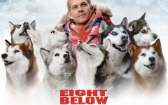 Desktop wallpaper. Eight Below. ID:13412