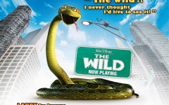 Desktop wallpaper. Wild, The. ID:13426
