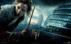 Desktop wallpaper. Harry Potter and the Deathly Hallows: Part 1. ID:13490