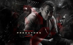 Desktop wallpaper. Predators. ID:13563