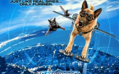 Desktop wallpaper. Cats & Dogs: The Revenge of Kitty Galore. ID:13587