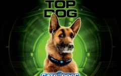Desktop wallpaper. Cats & Dogs: The Revenge of Kitty Galore. ID:13595
