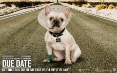 Desktop wallpaper. Due Date. ID:13682