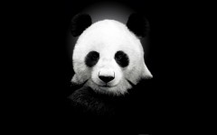 Desktop wallpaper. Animals. ID:34658