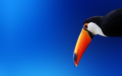 Desktop wallpaper. Animals. ID:34831
