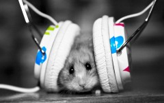 Desktop wallpaper. Animals. ID:35471