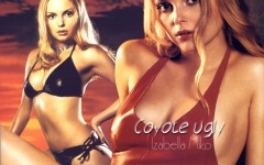 Desktop wallpaper. Coyote Ugly. ID:3821