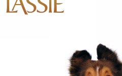 Desktop wallpaper. Lassie. ID:14177