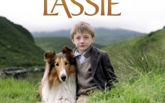 Desktop wallpaper. Lassie. ID:14178