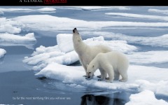 Desktop wallpaper. Inconvenient Truth, An. ID:14227
