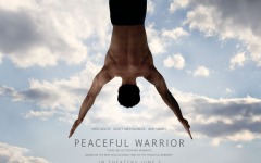 Desktop wallpaper. Peaceful Warrior. ID:14264