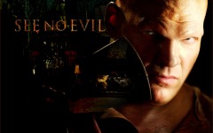 Desktop wallpaper. See No Evil. ID:14313