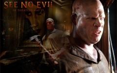 Desktop wallpaper. See No Evil. ID:14314