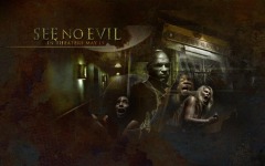 Desktop wallpaper. See No Evil. ID:14315