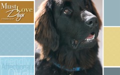 Desktop wallpaper. Must Love Dogs. ID:14527