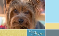 Desktop wallpaper. Must Love Dogs. ID:14528