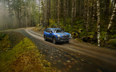 Desktop wallpaper. Subaru Forester Wilderness 2022. ID:142717